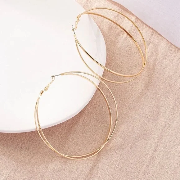 Double Hoop Earrings (NWOT) - Picture 2 of 3